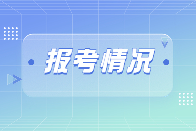 2023年河南專升本各專業報考情況