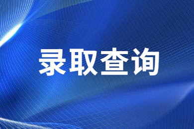 2024年河南專升本錄取查詢入口